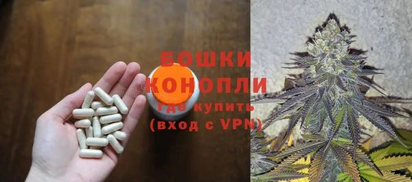 амф Алзамай